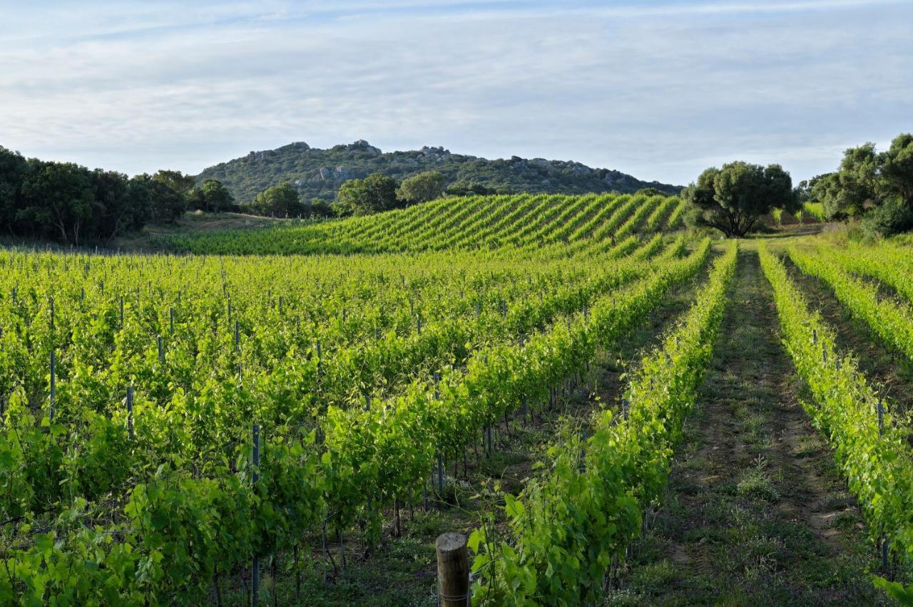 Domaine De Peretti Della Rocca Hotel Figari (Corsica)