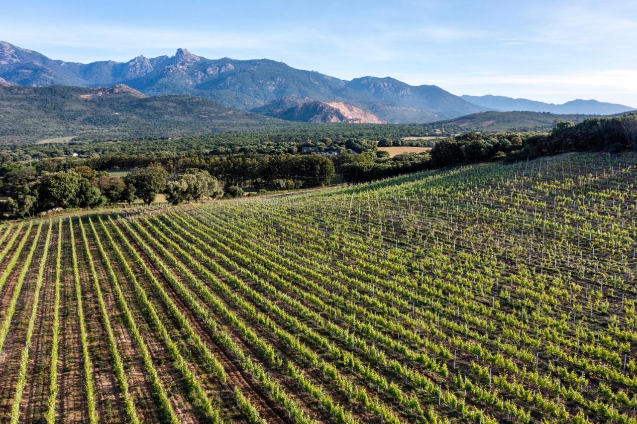Domaine De Peretti Della Rocca 4* Figari (Corsica)