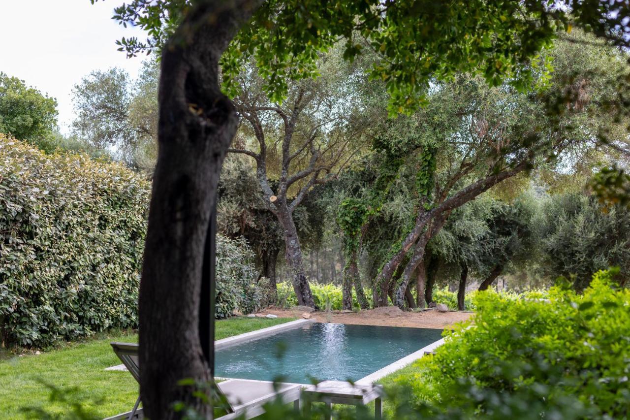 Domaine De Peretti Della Rocca 4*