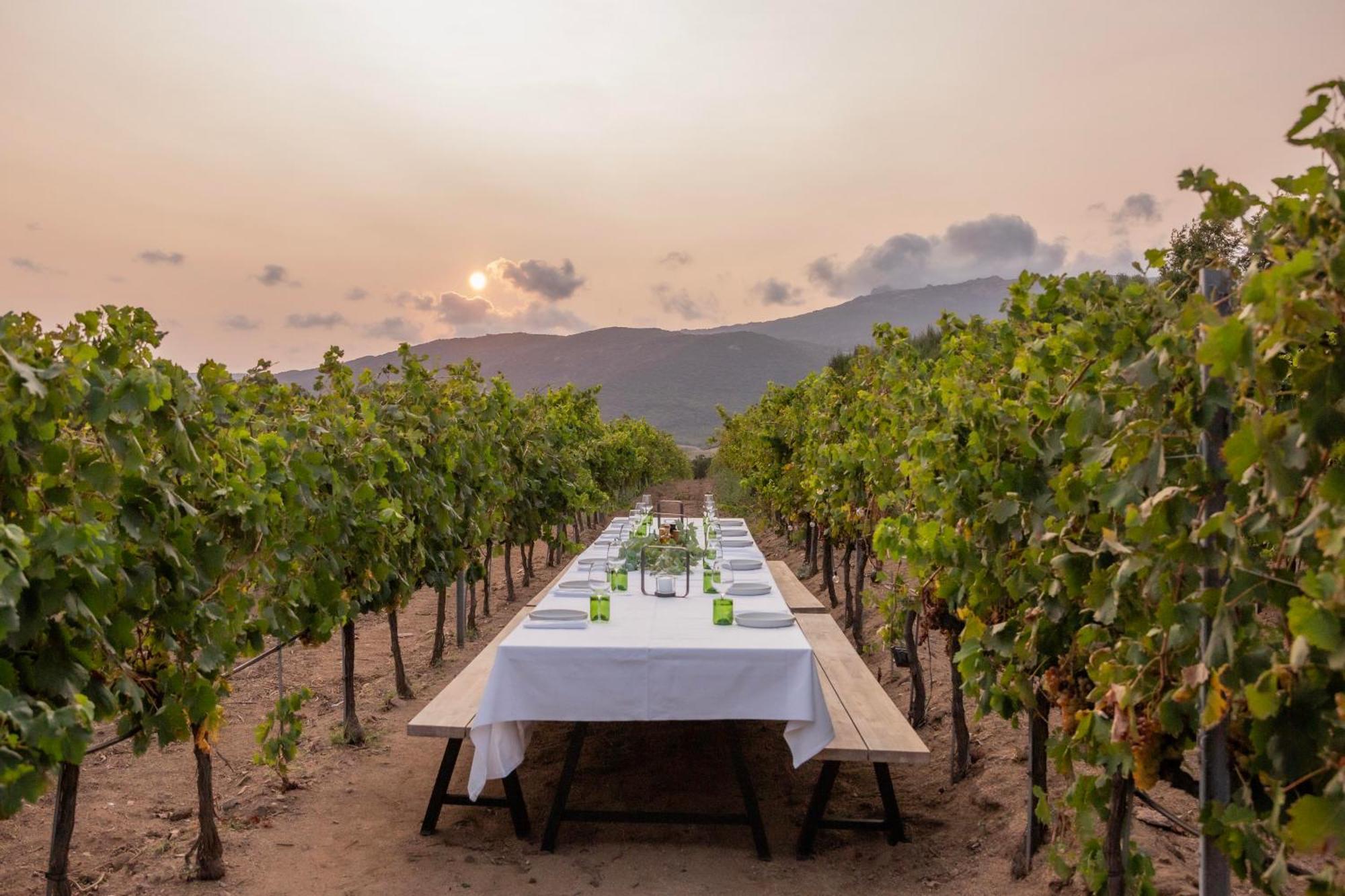 Domaine De Peretti Della Rocca Figari (Corsica)